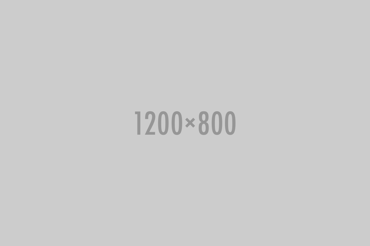 No photo available for Ztraceni v Lese